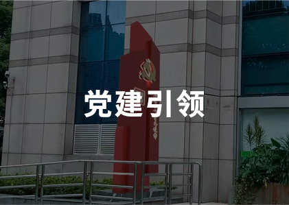 党建引领